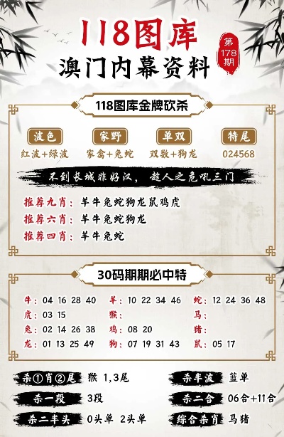 澳门今晚必开一肖1，词语释义解释落实