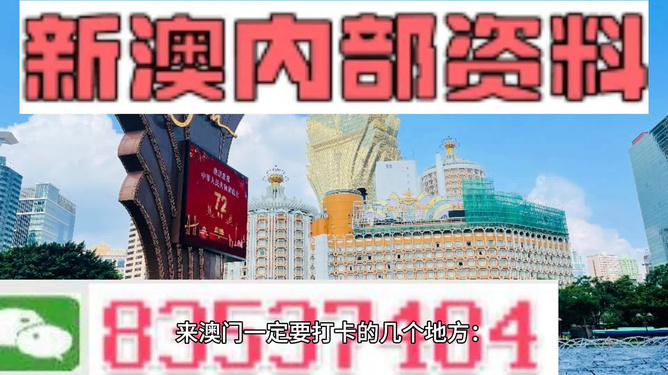 新澳门最精准免费大全，实用释义解释落实