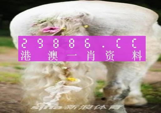 今晚一肖一码澳门一肖四不像，全面释义解释落实