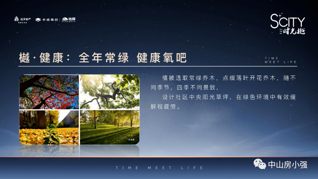 新澳门2025年正版资料，精选解析解释落实