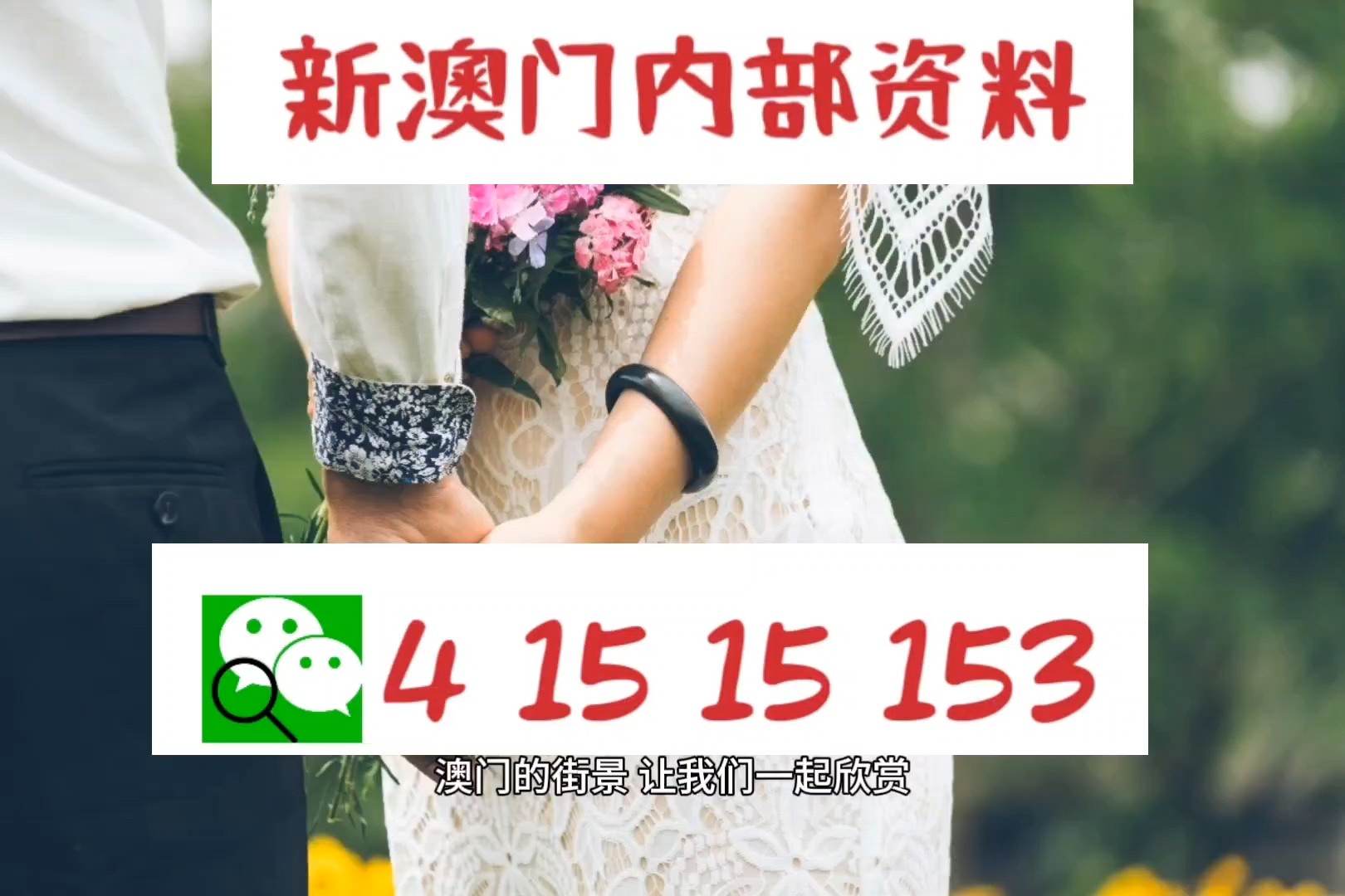 2025年澳门精准免费资料，精选解析解释落实