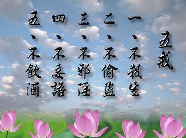 澳门一码一肖一待一中直播，词语释义解释落实