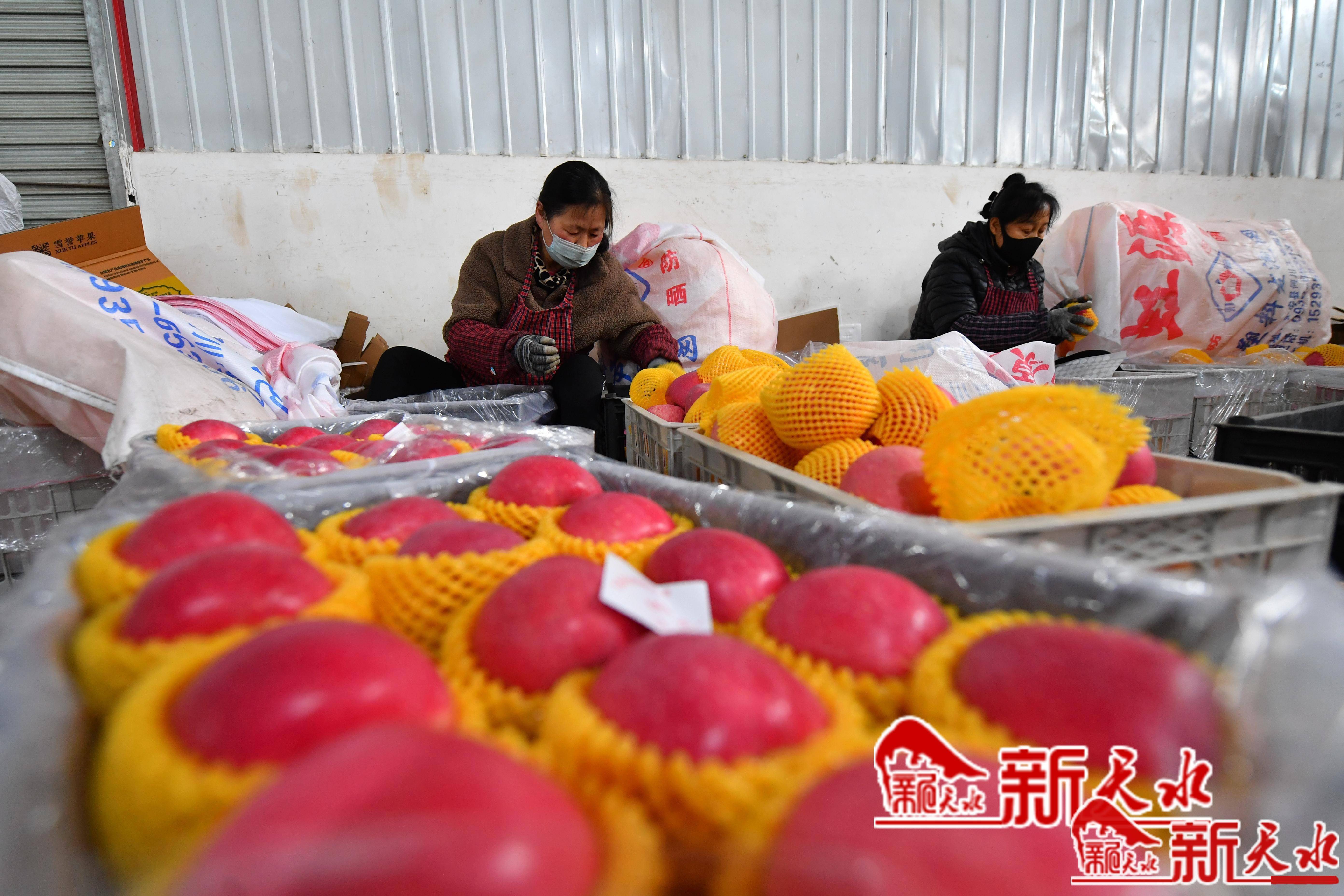 杰丰果业最新消息