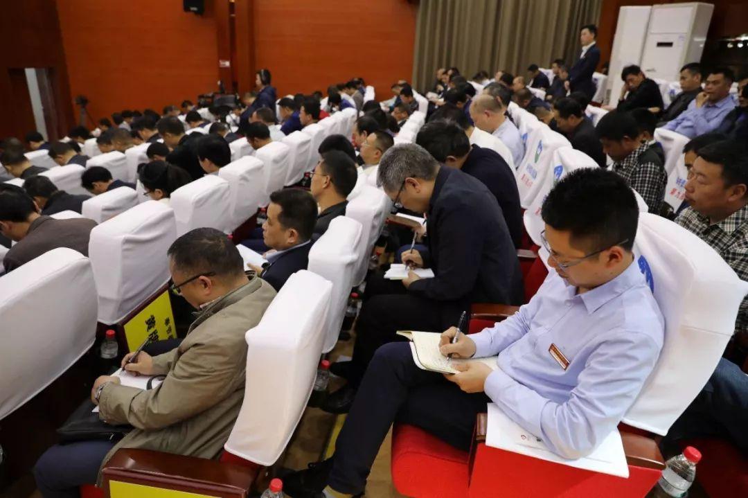 重庆市主要领导最新