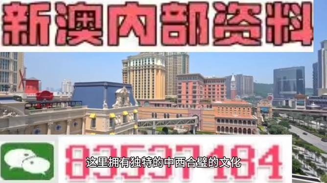 新澳门内部精准公开，精选解析与解释落实的深度探讨